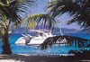 Yacht Andiamo Caribbean