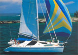 Felicia - Cricket World Cup Yacht Charter