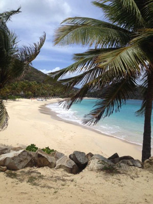 Visit BVI bays and beaches