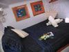 Caribbean Yacht Charter