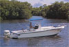 Crewed yacht charter
