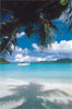 Crewed yacht charter