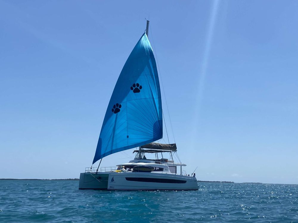 Nauti Dogs Crewed Catamaran Charter