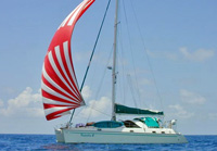 Catamaran Pentesilea II