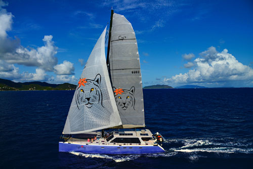 Tiger Lily Crewed Catamaran Charter