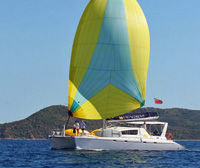 Catamaran Viking Dream